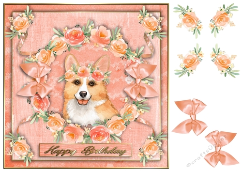 Peach Party Pup 6