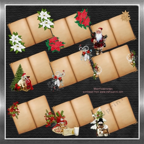 Christmas Open Books 