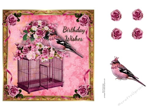 7x7 Beautiful Birdcage Birthday 