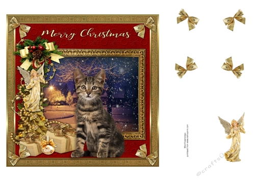 7x7 Merry Christmas Cat 4