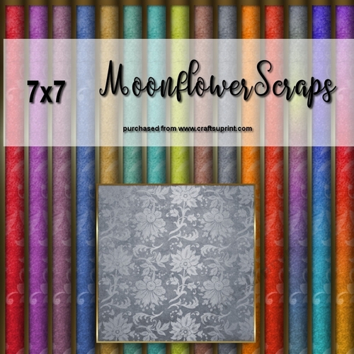 7X7 Floral Gold Trim Backgrounds