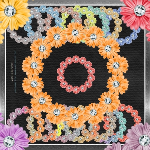 Floral Diamond Circles 