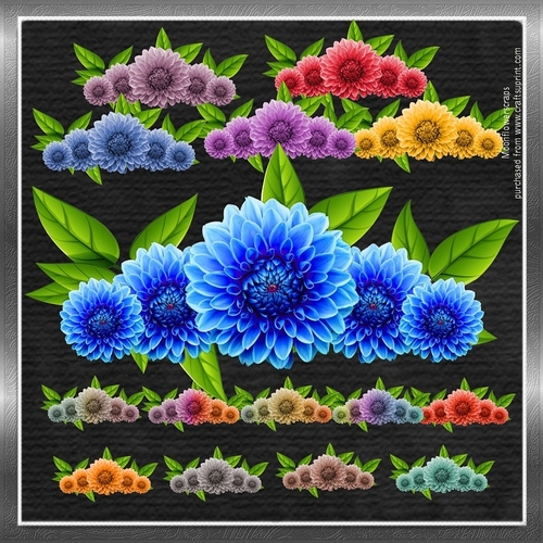 Floral Displays