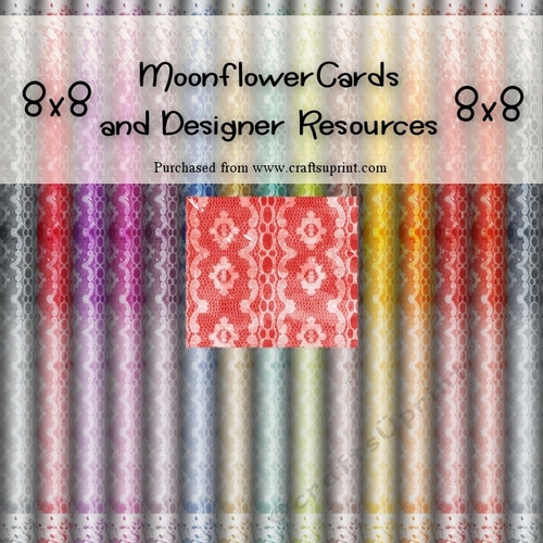 15 8x8 Water colour Lace  Backgrounds
