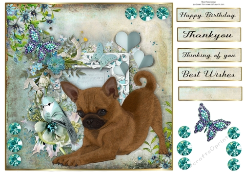 8x8 Teal Garden Pup Chihuahua