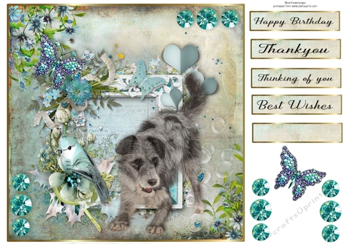 8x8 Teal Garden Pup Cross breed