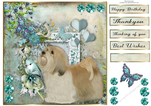 8x8 Teal Garden Pup Havenese 
