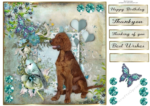 8x8 Teal Garden Pup Irish setter