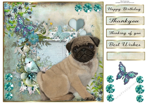 8x8 Teal Garden Pup Pug