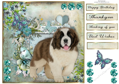 8x8 Teal Garden Pup Saint Bernard