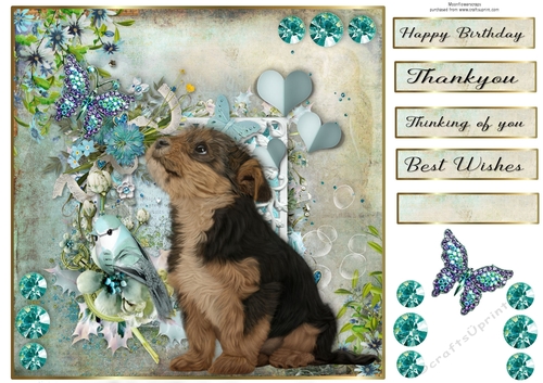 8x8 Teal Garden Pup Yorkie cross
