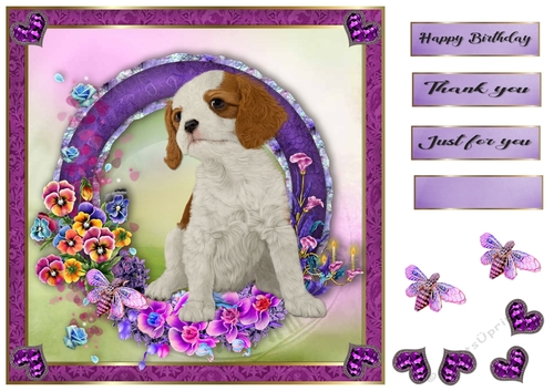 8x8 Pansie Garden Pup king charles spaniel