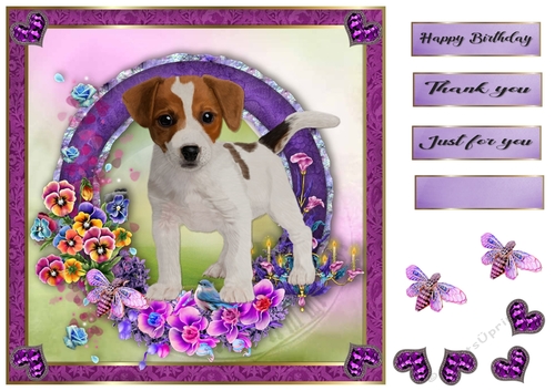 8x8 Pansie Garden Pup Jack rusell