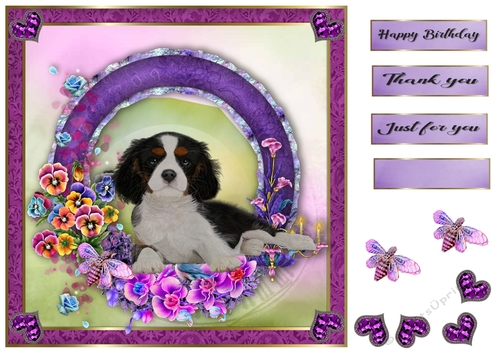 8x8 Pansie Garden Pup King Charles spaniel 