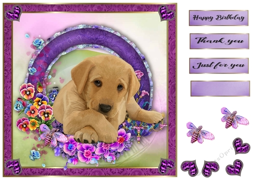 8x8 Pansie Garden Pup Labrador