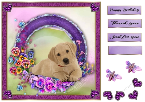 8x8 Pansie Garden Pup Labrador