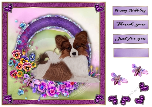 8x8 Pansie Garden Pup Papillon