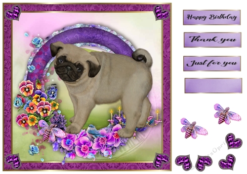 8x8 Pansie Garden Pup Pug