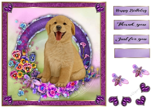8x8 Pansie Garden Pup Golden Retriever