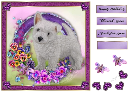 8x8 Pansie Garden Pup Westie 