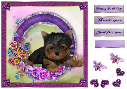 8x8 Pansie Garden Pup Yorkie