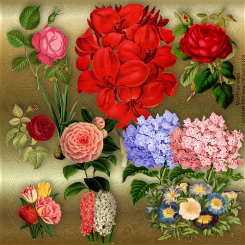 Vintage Floral Clip Art