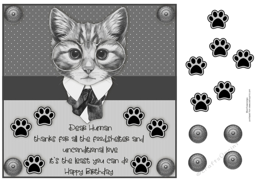 8x8 Birthday Card From the cat 2