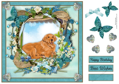 Spring Garden Golden Retriever