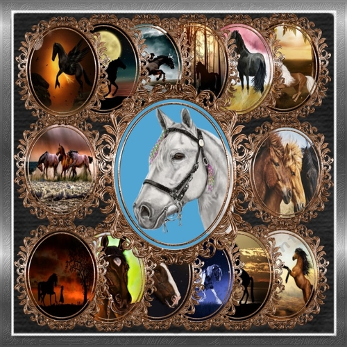 Horse Toppers