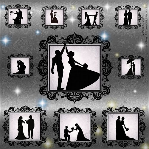 Beautiful Silhouette Wedding Toppers