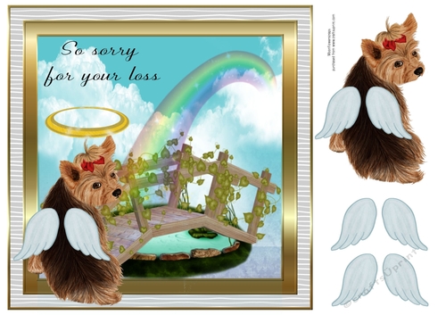 Petloss Yorkie