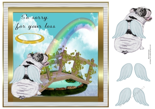 Pet loss Bull dog 