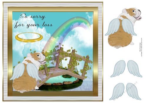 Pet loss Bull dog 2