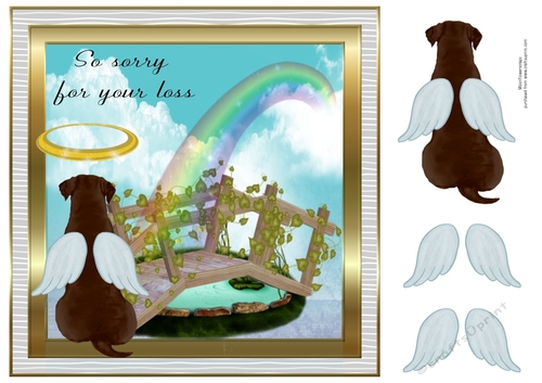 Pet loss Chocolate lab