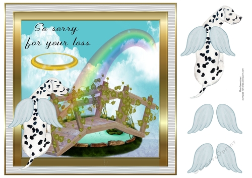Pet loss Dalmatian 