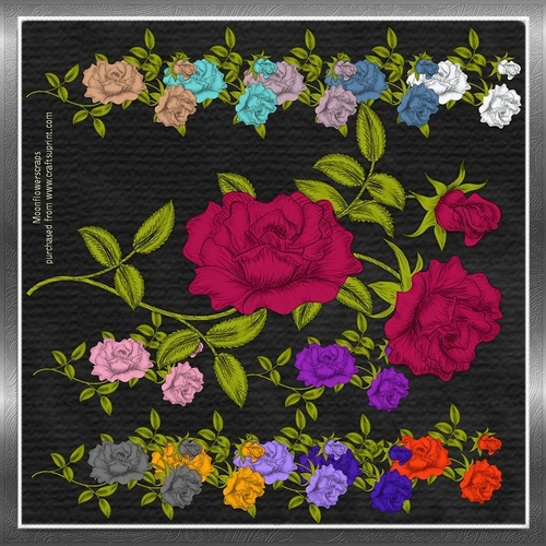 Pretty Flowers