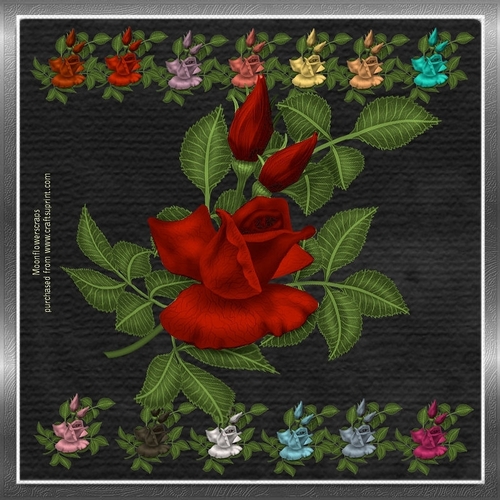 Garden Roses