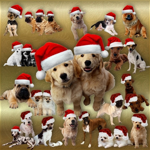 Designer Resource Santa Dogs