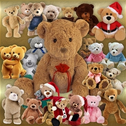 Teddy Bear Bundle 