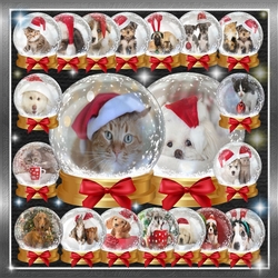 Christmas Cat/Dog Snow Globes