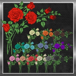 Rose Corner Sprays