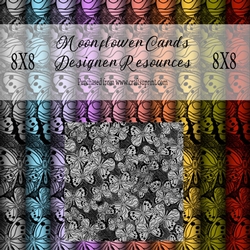Butterfly Backgrounds
