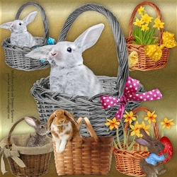 Easter Baskets