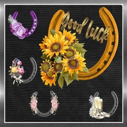 Lucky Horse Shoes