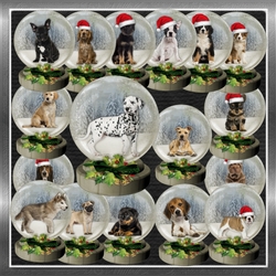 Christmas Dog Snow Globes