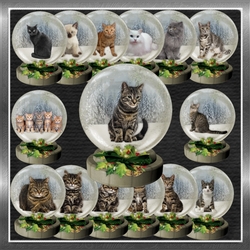 Christmas Cat Snow Globes