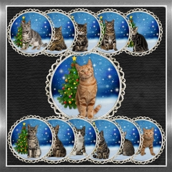 Christmas Cat Toppers