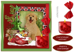 Christmas Dog 1