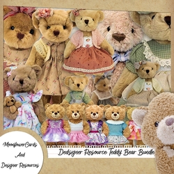 Designer Resource Teddy Bear Bundle