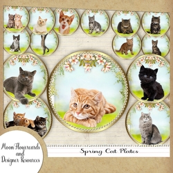 Spring Cat Plates